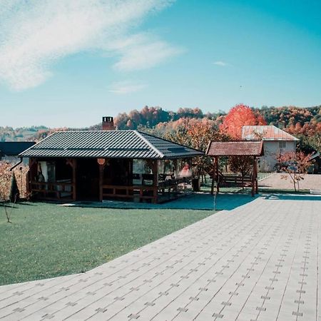 Hotel Casa Dumitru Ceraşul Esterno foto