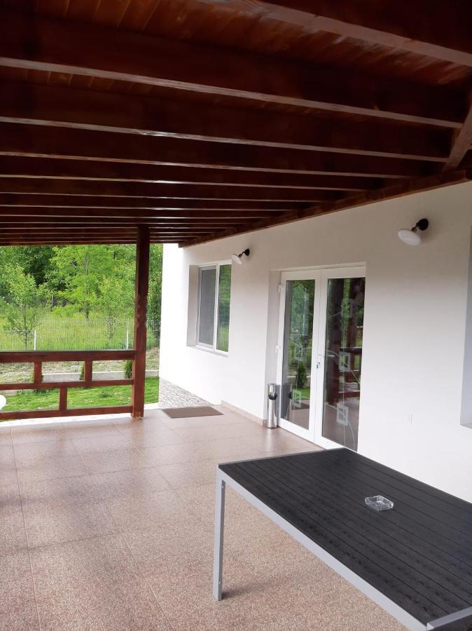 Hotel Casa Dumitru Ceraşul Esterno foto